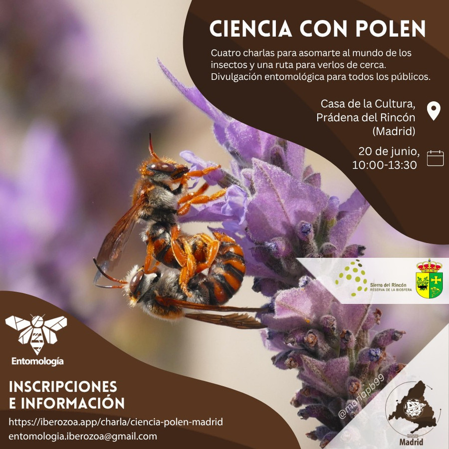 Jornada Ciencia con polen