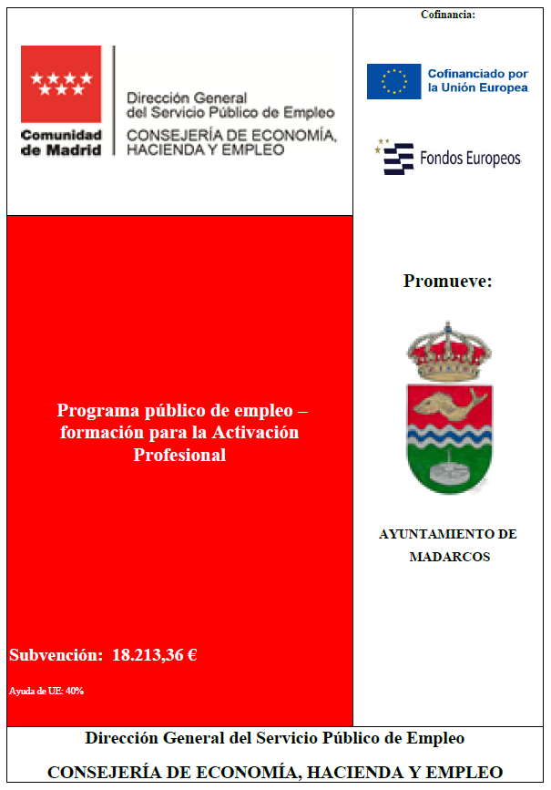 prog publico empleo activacion profesional