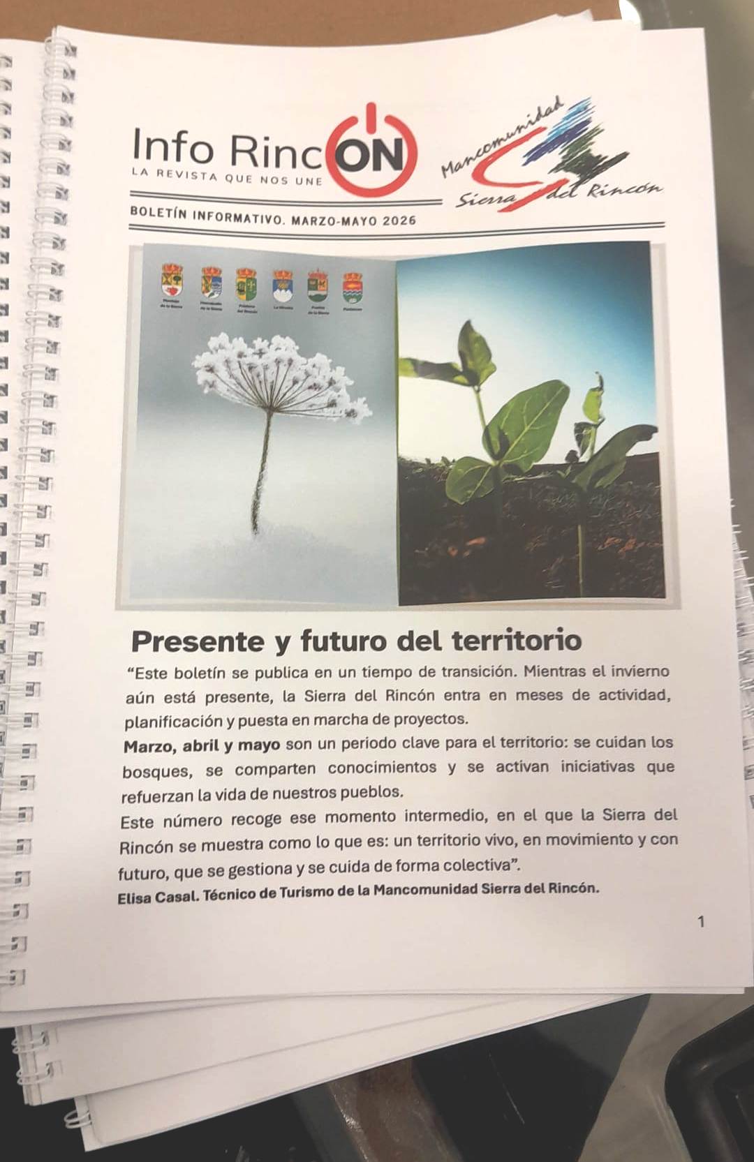 Revista Info Rincón