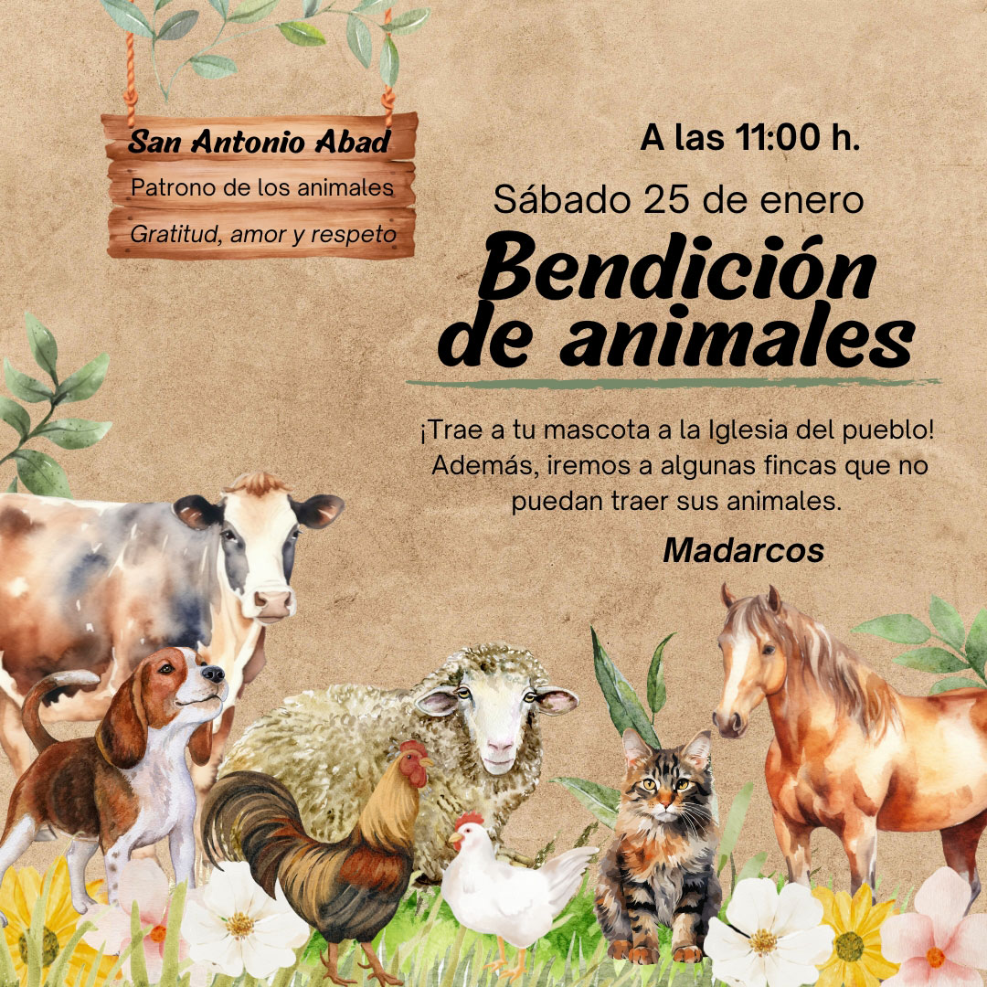 Bendición de animales 2025