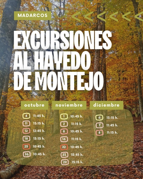 Excursión_al_Hayedo_de_Montejo