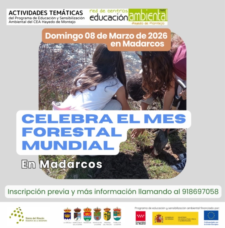 Mes_forestal_mundial